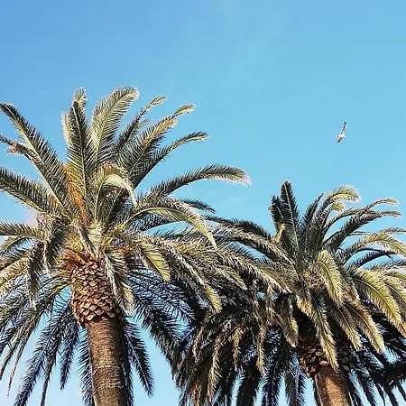 El Buen Retiro Di Dany Διαμέρισμα Finale Ligure